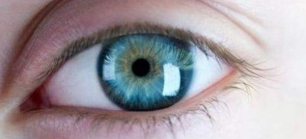 Descubren veinticuatro nuevos genes que causan la miopía