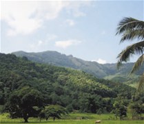 Loma Miranda