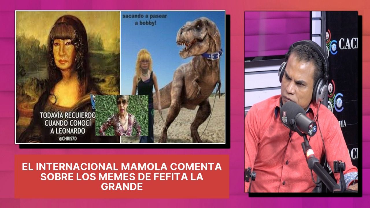 El Internacional Mamola Comenta Sobre Los Memes De Fefita La Grande