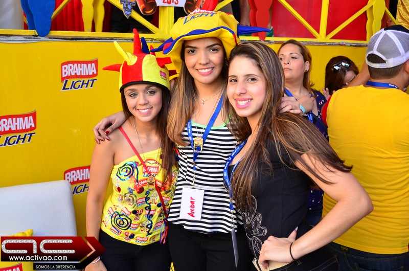 carnaval_vegano_2013_3er_domingo_activao_12