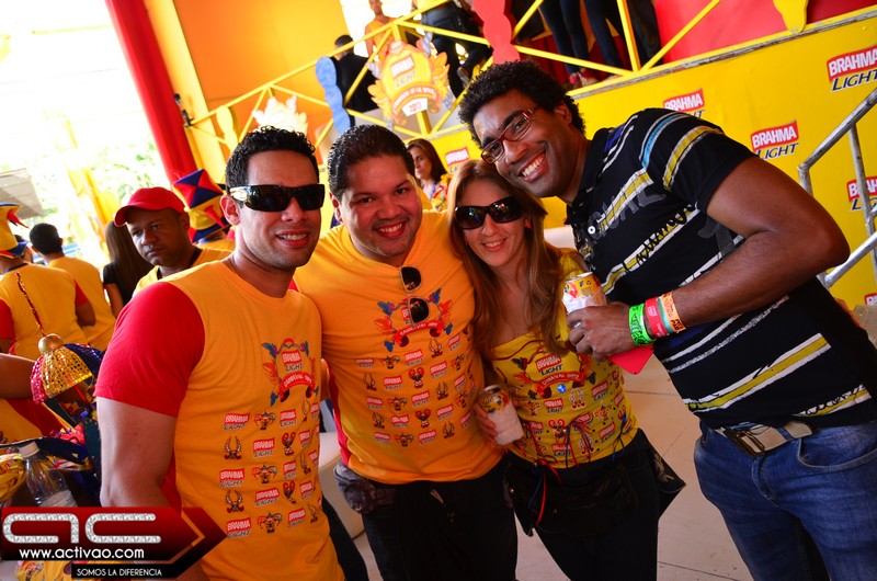 carnaval_vegano_2013_3er_domingo_activao_13