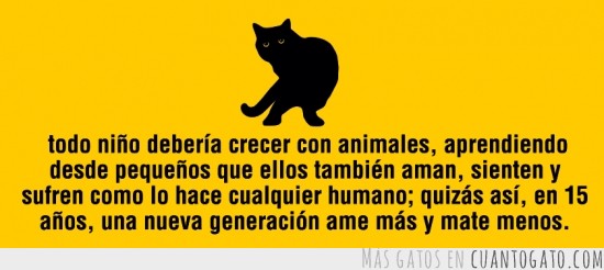gatoconsejos