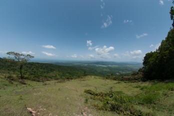 miranda