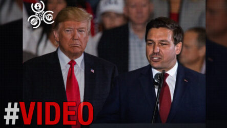 Ron DeSantis También Planea Eliminar La Ciudadanía Por Nacimiento Si Gana La Presidencia