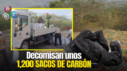 Arrestan Durante Operativo Hombre Que Transportaba 1,200 Sacos De Carbón Vegetal En Azua