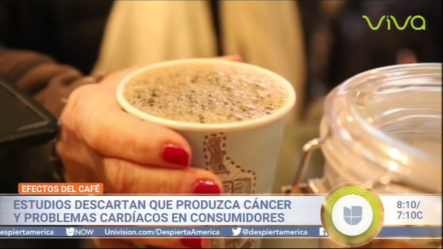 “Efectos Del Café” Estudios Descartan Que Produzca Cáncer Y Problemas Cardíacos En Consumidores