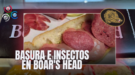 Encuentran Basura E Insectos En Plantas De Producción De Boar’s Head