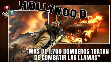 Caos En Hollywood Hills: Incendio Forza Nuevas Evacuaciones