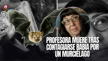 Fallece Profesora De Arte En California Por Rabia Tras Contacto Con Un Murciélago En Su Aula