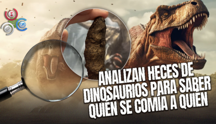 Fósiles De Heces Y Vómitos De Dinosaurios Revelan Secretos Sobre La Cadena Alimentaria Prehistórica En Polonia