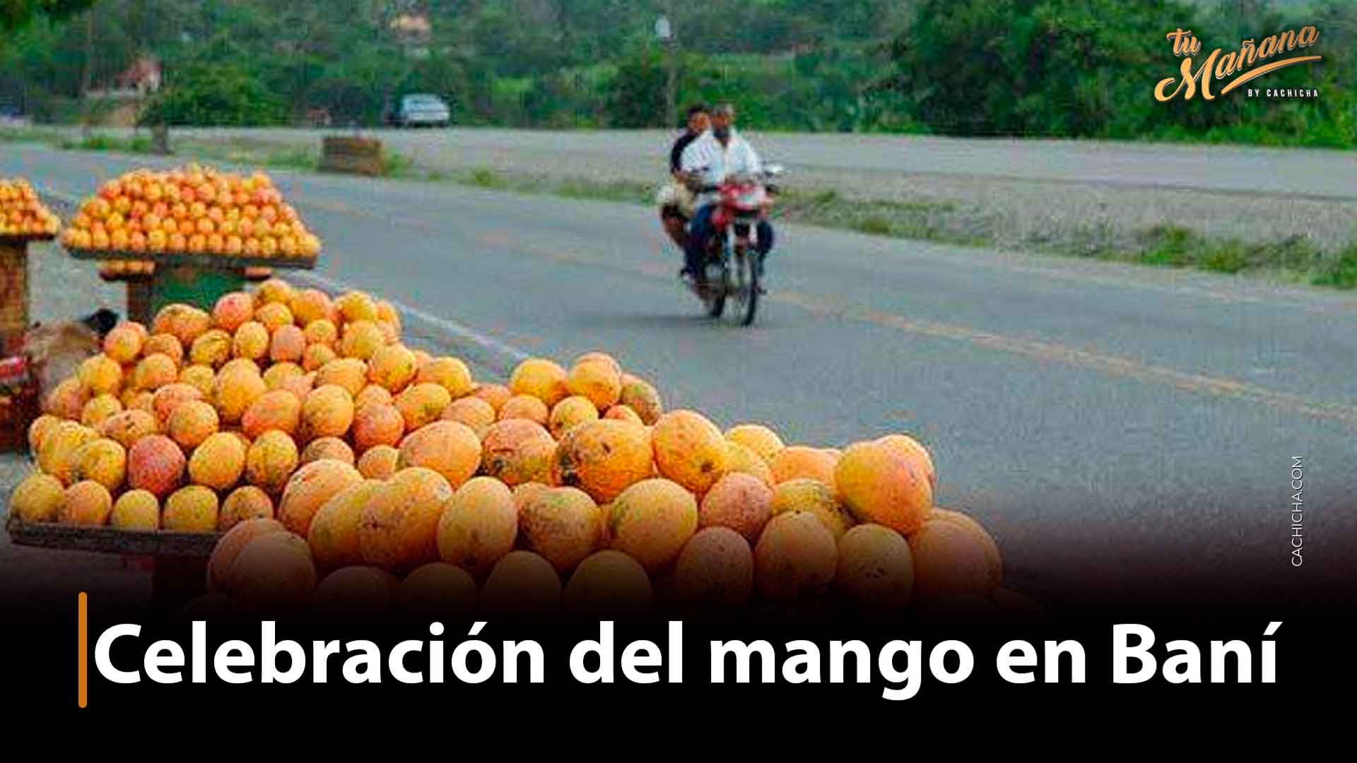 TuriFamilia Habla De La Celebración Del Día Mango En Baní   Cachichacom