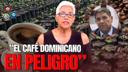 Altagracia Salazar: Emergencia Para Salvar El Café Dominicano | Sin Maquillaje