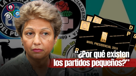 Rosario Espinal Analiza La Incidencia De Partidos Minoritarios En El País Y Su Aporte A Partidos Mayoritarios