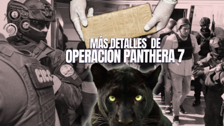 Imputados En Operación Panthera 7 Habrían Secuestrado A Chofer De Camión Para Huir Del Puerto De Caucedo