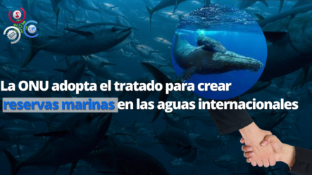 La ONU Adopta El Tratado Para Crear Reservas Marinas En Las Aguas Internacionales