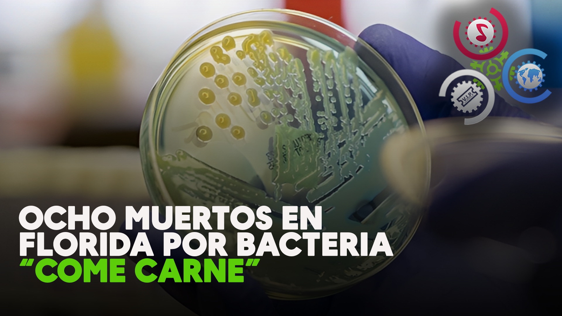 Ocho muertos en Florida por bacteria carne”