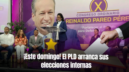 El PLD Inicia La Primera Fase De Sus Elecciones Internas Este Domingo