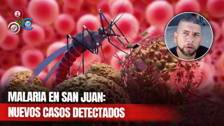 Preocupación En San Juan Por Detección De Nuevos Casos De Malaria
