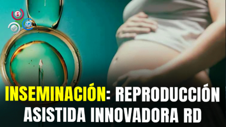 La Inseminación, Un Método De Reproducción Asistida