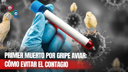 Un Mexicano, Primera Víctima Mortal De Gripe Aviar En El Mundo: Te Contamos Cómo Evitar El Contagio