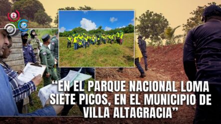 Proyecto Agrícola En Loma Siete Picos Suspendido Por Impacto Ambiental