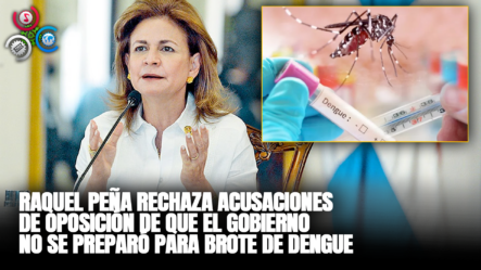 Vicepresidenta Peña Rechaza Acusaciones De Oposición De Que El Gobierno No Se Preparó Para Brote De Dengue