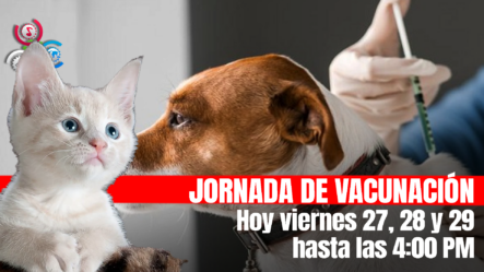 Salud Pública Anuncia Jornada Nacional De Vacunación Gratuita Contra La Rabia Para Perros Y Gatos