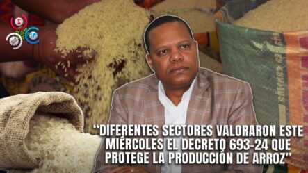 Sector Agrícola Valora Protección Del Mercado Local De Arroz