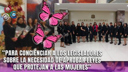 Solicitan Al Congreso Acciones Legislativas En Defensa De Las Mujeres