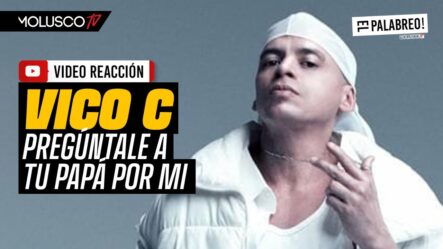 Vico C Le Tira A Daddy Yankee, Pina Y El Género Urbano | EL PALABREO REACCIONA