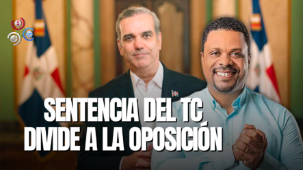 Sentencia Del TC Que Permite Candidaturas Sin Partidos, Busca Desarticular Opositores Del Gobierno