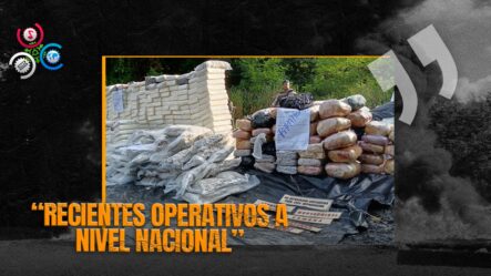 Procuraduría Incinera Alrededor De 900 Kilogramos De Drogas Incautadas En Operativos