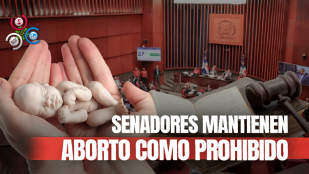 Senado Aprueba Código Penal Sin Tomar En Cuenta Las 3 Causales Que Validan El Aborto