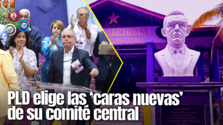 PLD Escoge A Su Presidente, Secretario General Y Comité Político Este Domingo