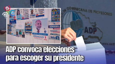 Miles De Maestros Asisten A Elecciones Para Escoger Al Dirigente De La ADP