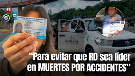 Instan A Implementar Sistema De Licencia De Conducir Por Puntos