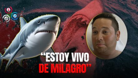Relato De Un Sobreviviente: Experiencia De Un Hombre Latino Atacado Por Un Tiburón