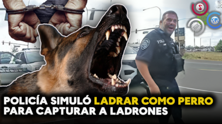 Policía Simuló LADRAR COMO PERRO Para Capturar A Ladrones