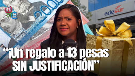 Rosa Encarnación Revela Contrato Donde Edesur Pagará 332 Millones De Pesos Por Cobrar Facturas Eléctricas