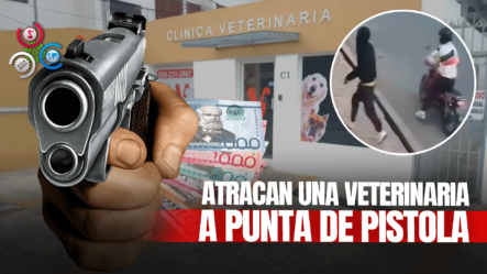 Antisociales Irrumpen A Mano Armada Una Veterinaria En Esperanza, Valverde