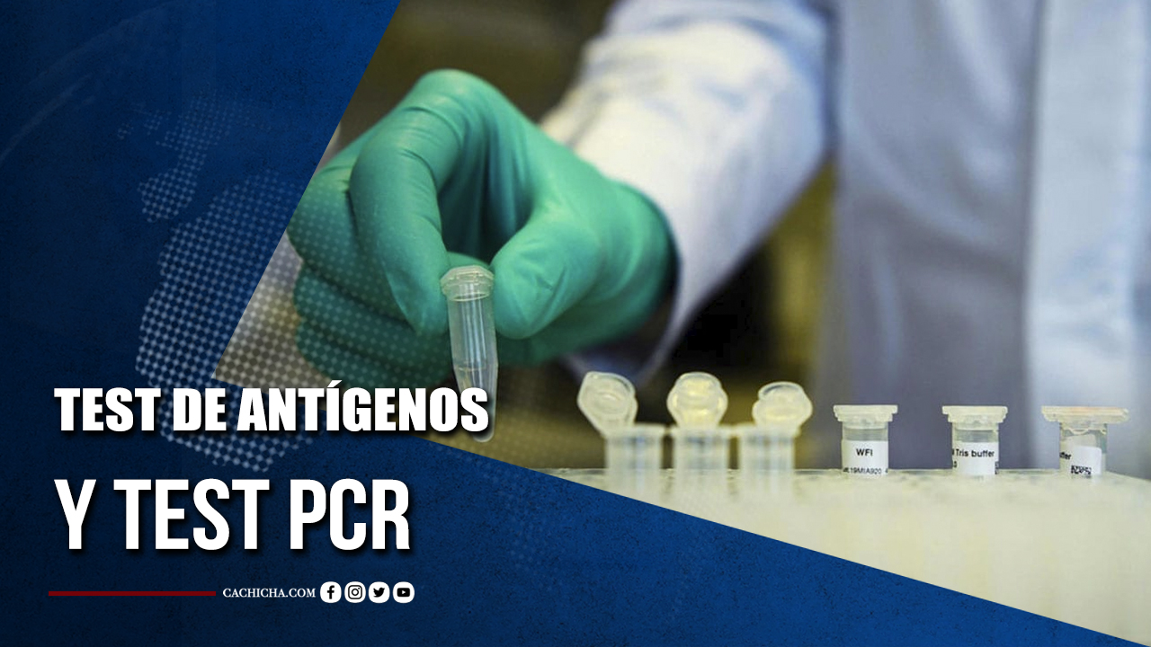 Test De Ant Genos Qu Es Y En Qu Se Diferencia De Los Test Pcr